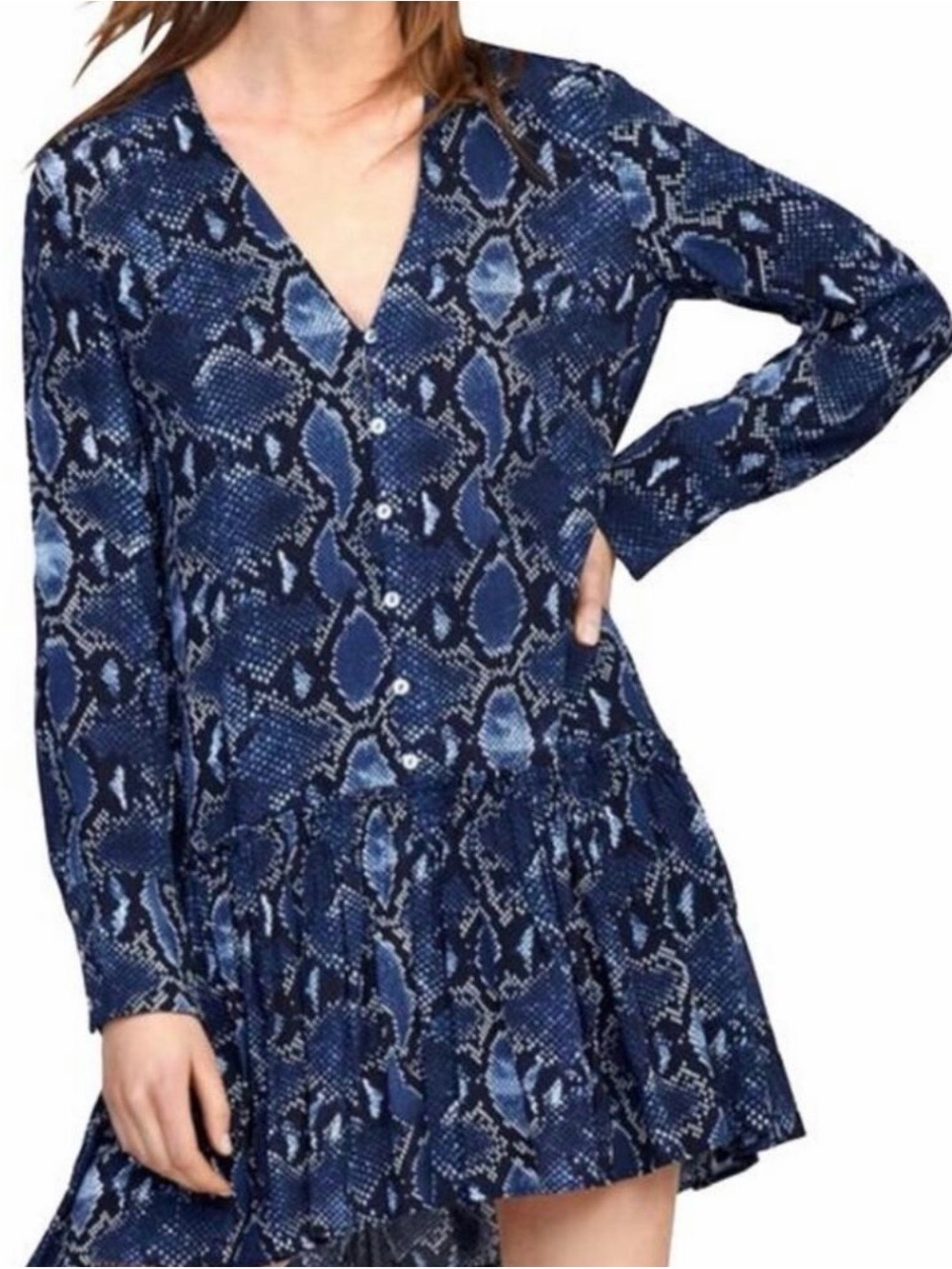 Zara Blue Snake-Print V-Neck Long Sleeve Dress